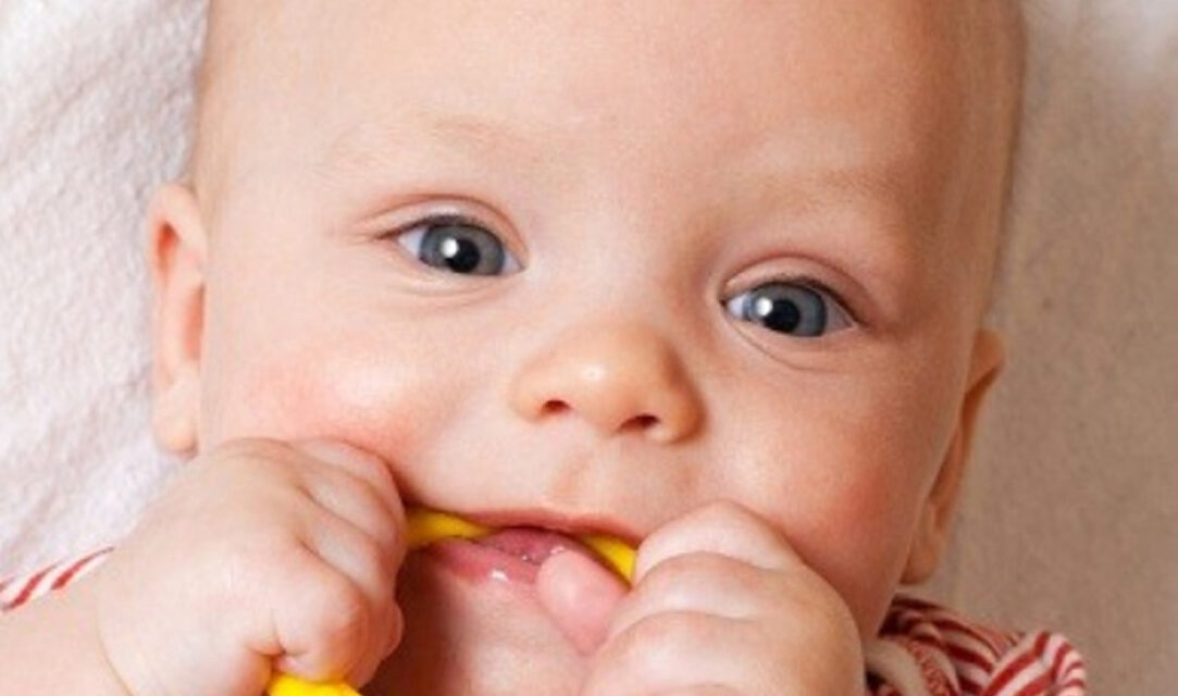 Konya Bebeklerde Diş Çıkarma Dönemi Nasıldır ?